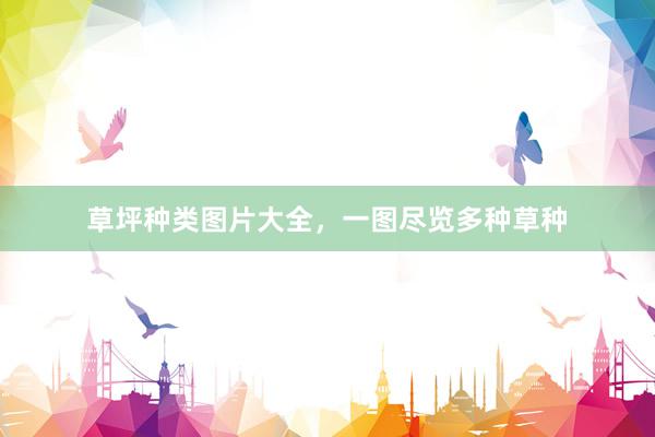 草坪种类图片大全，一图尽览多种草种
